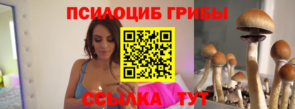 Псилоцибиновые грибы Magic Shrooms  Вход с VPN  Ростов Великий 